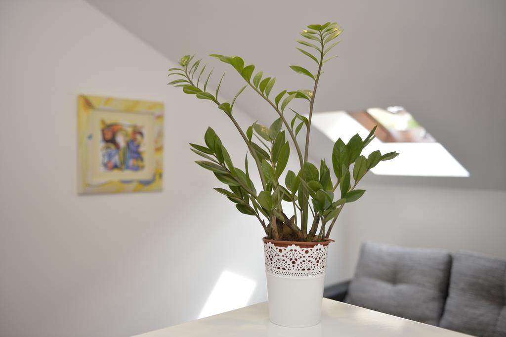 Apartment Damjan Котор Екстер'єр фото